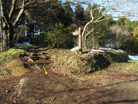 20161125hike (319)